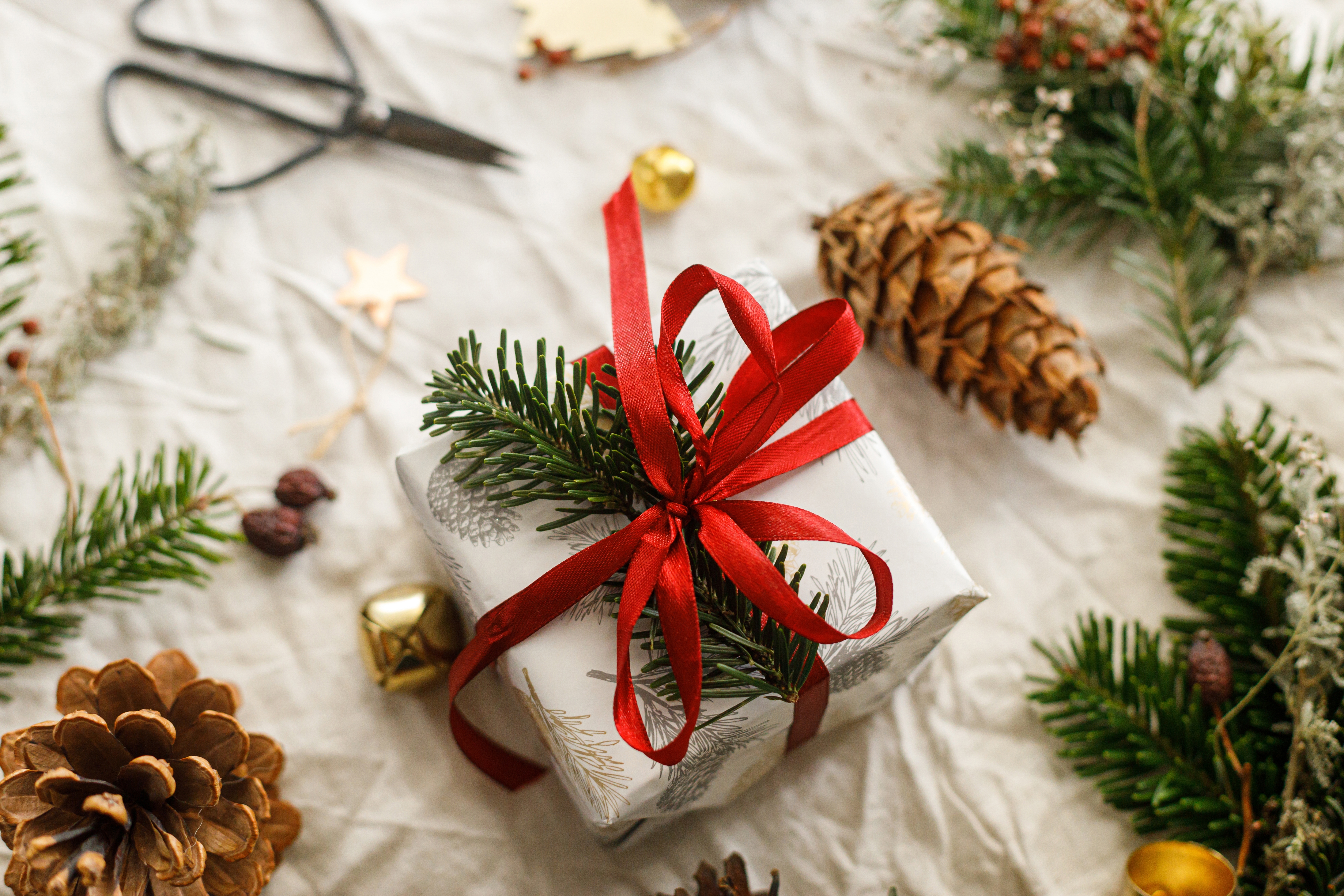 Boka’s Christmas Tale